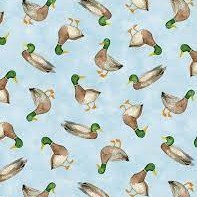 Lakefront: Mallard Toss Sky Blue
