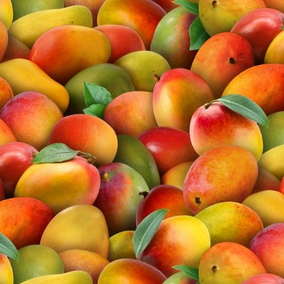 Food Festival Mangoes
