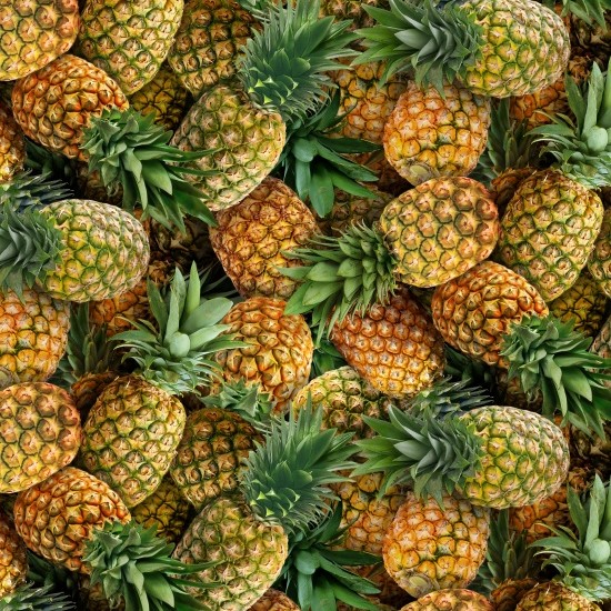 Food Fetival Pineapples