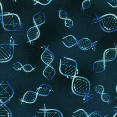 Science Fair 3 Bright Idea DNA