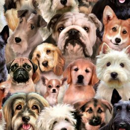 Petpourri Dog Faces