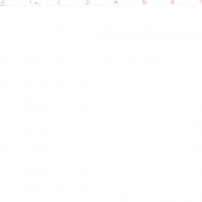 Premium Muslin White 44" Wide