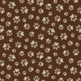 Sand Scribbles: Paw Print