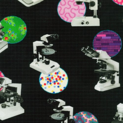 Science Fair Bright Idea