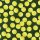 Sports Life Tennis Ball
