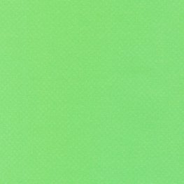 Languid Pistachio