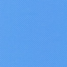Languid Blue Jay