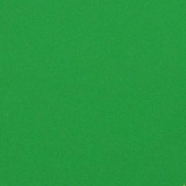 Homespun Solid Green