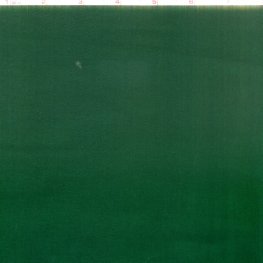 Plainshade Solid: Hunter Green