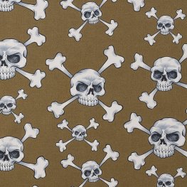 Skull and Bones