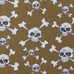 Skull and Bones