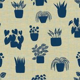 Home Plants