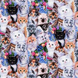 Kittens & Flowers