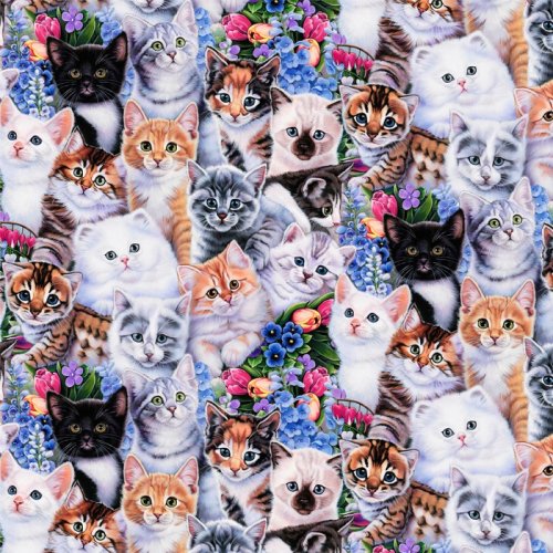 Kittens & Flowers