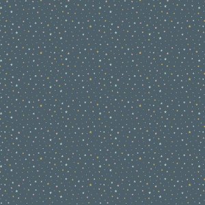 Stars and Tiny Dots Grey