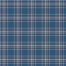 Primo Plaid Flannel Med Blue