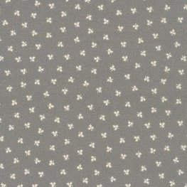 Stephenson County Grey