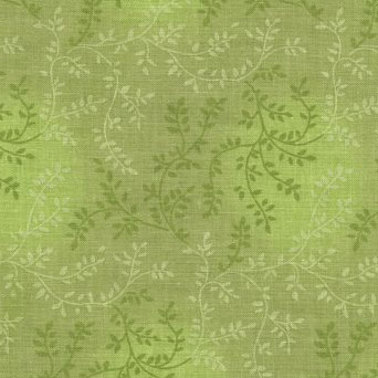 Wide Tonal Vineyard: Olive