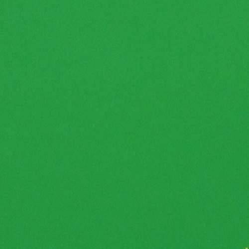 Homespun Solid Green