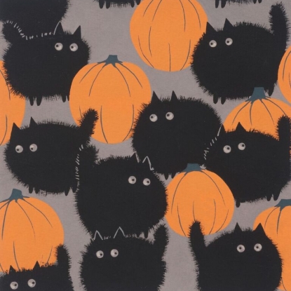 Belinda\'s Big Kitty