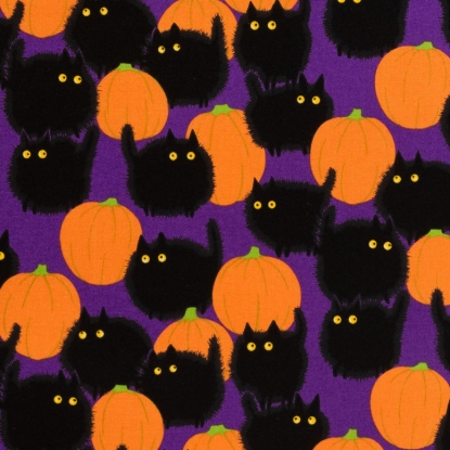 Belinda\'s Big Kitty