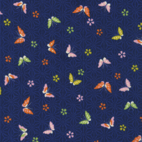 Kiku Navy