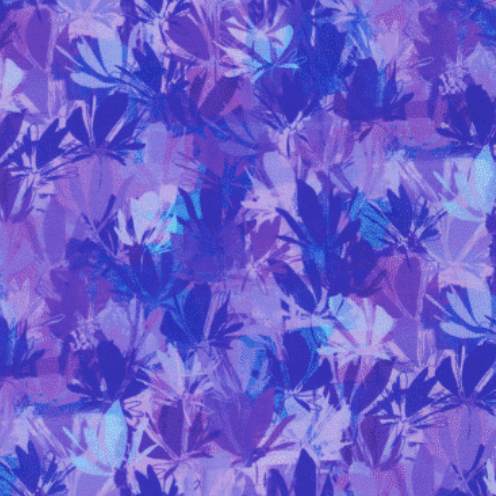 Color Wheel Hyacinth